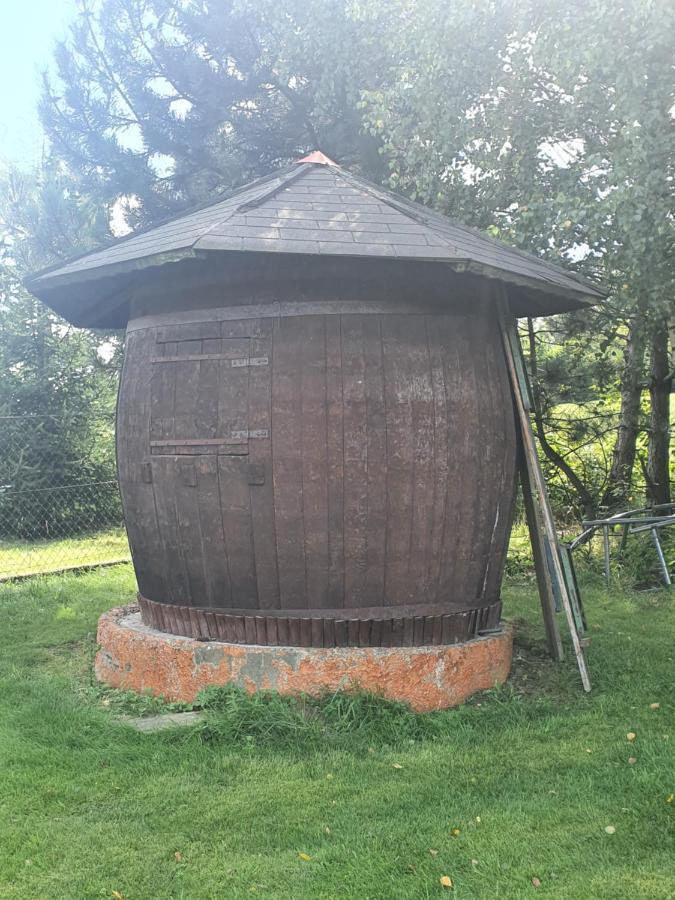 Domek Pod Krolowem Устрон Екстериор снимка